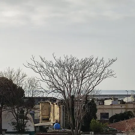 Il Grazioso Appartamento Di Chiara Con Posto Auto Privato Livorno Exterior photo